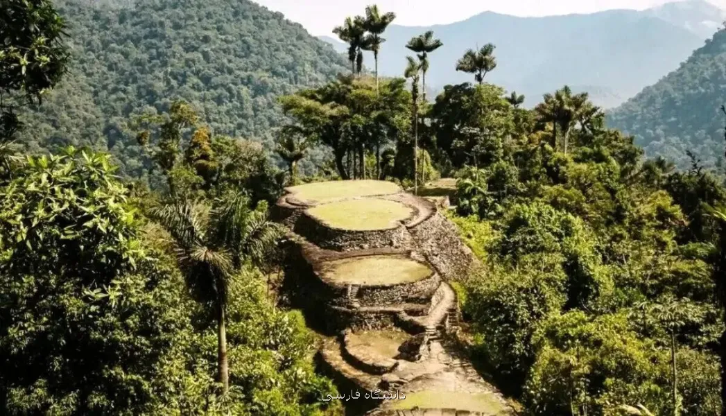 کشف شهری بزرگ که زیر درختان مخفی شده بود