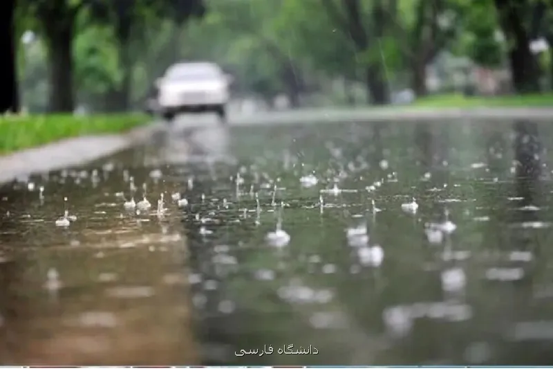 بررسی علمی یک شایعه