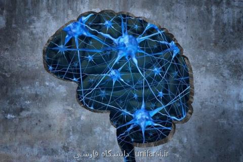 اعتیاد به مورفین تصمیم گیری را مختل می كند