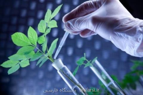مسابقه تحلیل داده های نسل جدید توالی یابی برگزار می گردد