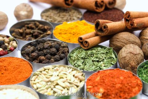 تغذیه سالم با گیاهان زنده، امكان پرورش گیاهان دارویی در آپارتمان