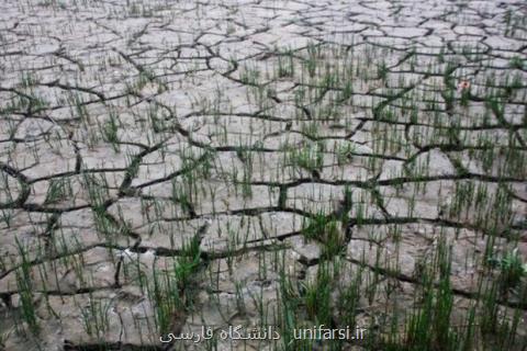 وقوع ۷۰ درصد بلایای طبیعی به علت تغییرات اقلیمی