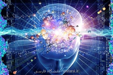 لزوم همكاری ایران و استرالیا در زمینه علوم و فناوری های شناختی