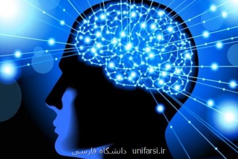 همكاری ستاد علوم شناختی با بنیاد تحقیقاتی سائوپائولو در برزیل