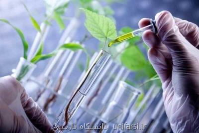 انتخاب 32 گیاه برای تولید داروهای گیاهی در دانشگاه آزاد