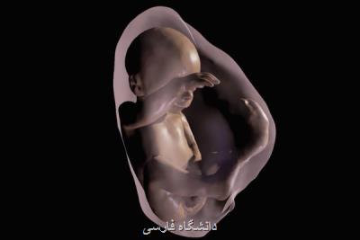 تفاوت افسردگی بعد از زایمان در ۲ دسته از مادران بررسی گردید