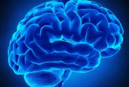 برگزاری مراسم هفته آگاهی از مغز به سال آینده موكول شد
