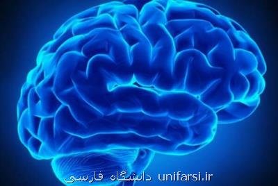 برگزاری مراسم هفته آگاهی از مغز به سال آینده موكول شد