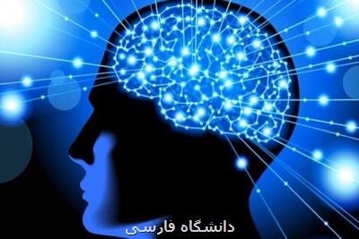 شتابدهنده حوزه علوم شناختی افتتاح شد