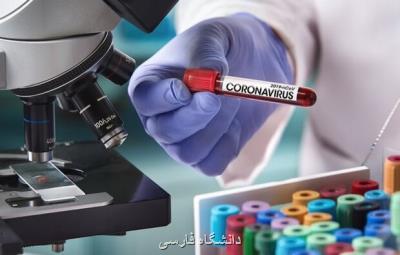 پژوهشگران هلندی مدعی كشف پادتن ویروس كرونا شدند