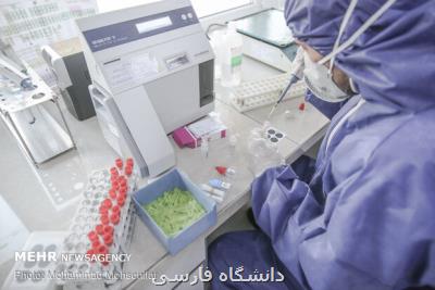 رونمایی از كیت ایرانی با خصوصیت های خاص